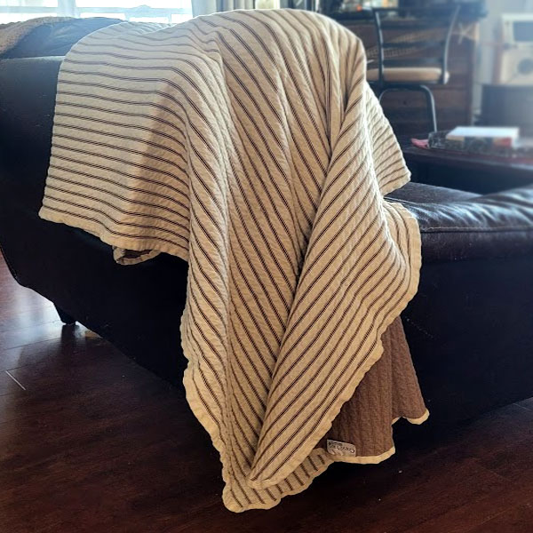 Truly Soft Ticking Stripe Sheet Set, White, Queen