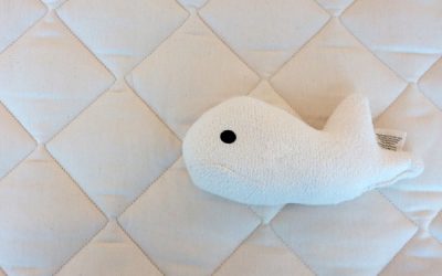 Choosing Your Child’s First Big Kid Mattress