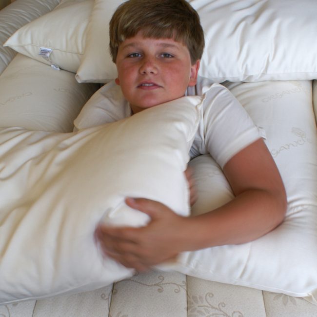 Organic Wool Pillows Covered in Certifed Organic Cotton Damask